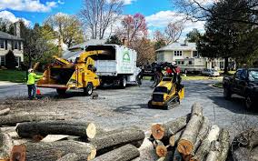 Best Lawn Grading and Leveling  in Wildewood, MD