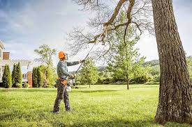 Best Landscape Design and Installation  in Wildewood, MD