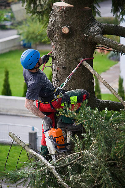 Best Arborist Consultation Services  in Wildewood, MD