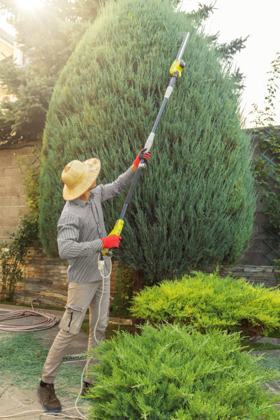 Best Artificial Turf Installation  in Wildewood, MD