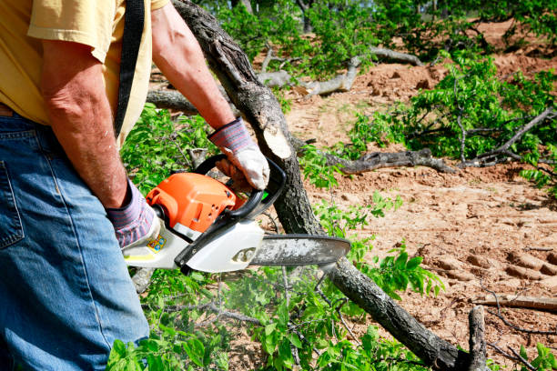 Best Utility Line Clearance  in Wildewood, MD